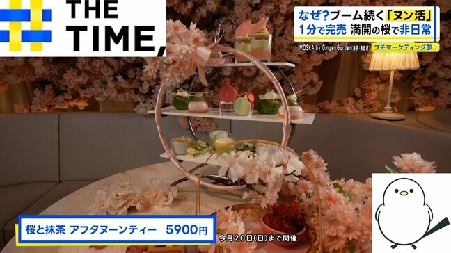 なぜ?ブーム続く「ヌン活」…“1人8000円超”でも予約殺到【THE TIME,】|TBS NEWS DIG
