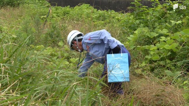 川が増水したときリスクの高い場所などを確認 台風シーズンを前に大井川堤防で合同点検=静岡|TBS NEWS DIG
