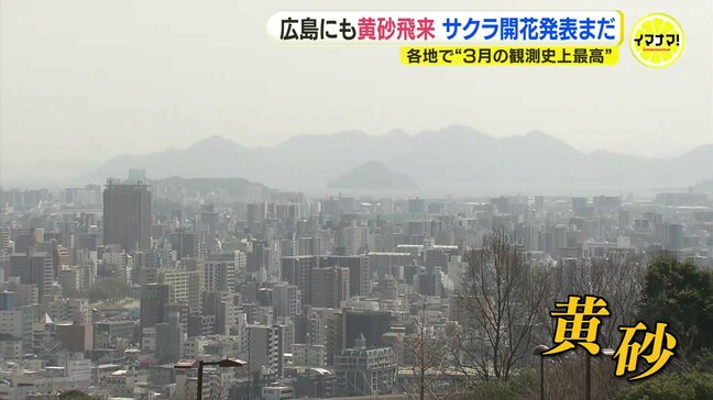 広島で早くも「夏日」観測　広島市中区“24.0℃”は3月観測史上最高　“黄砂”で街が霞む　サクラの開花発表まであと一歩　「あすに期待…」　広島|TBS NEWS DIG