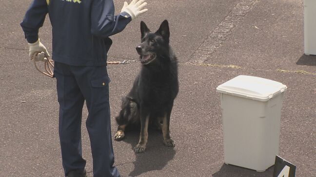 捜索に不可欠な嗅覚競う　嘱託警察犬の競技会　大分|TBS NEWS DIG