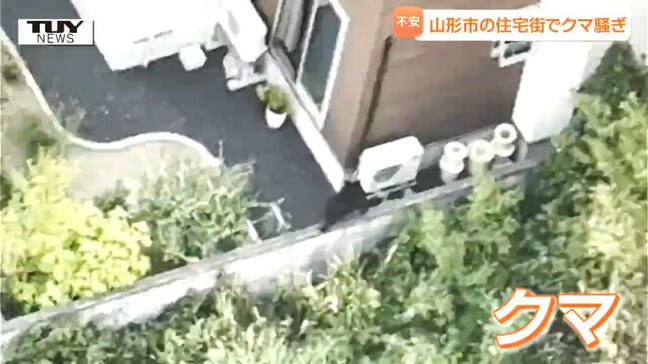 きょうは高速道路のガードレールにつかまるクマが...山形市の住宅街に出没のクマは未だ見つからず 住民は「こういう場所にも出るんだなと」 |TBS NEWS DIG