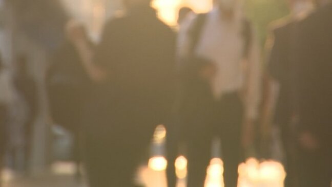 景気予測調査　景況判断は「下降」の企業が増加　製造業がプラスに改善も、非製造業が大きく悪化　山梨|TBS NEWS DIG