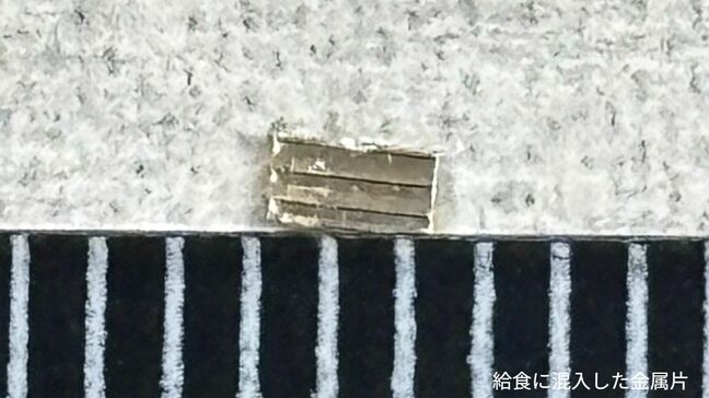 多度津町の小学校の給食に金属片が混入 児童の口の中から見つかる 約2ミリ×1ミリ【香川】 |TBS NEWS DIG