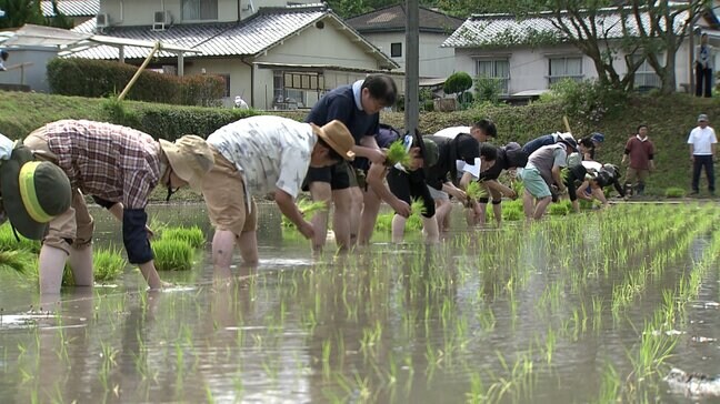 「日本酒の原点を体感」老舗酒蔵で幻の酒米『雄町』の田植え体験 【岡山】|TBS NEWS DIG