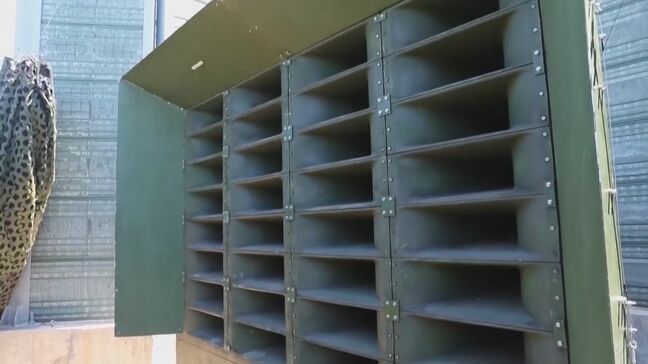 韓国軍　北朝鮮向け宣伝放送の拡声器撤去始める「南北間の緊張緩和のため」 金与正氏は「評価に値しない」|TBS NEWS DIG