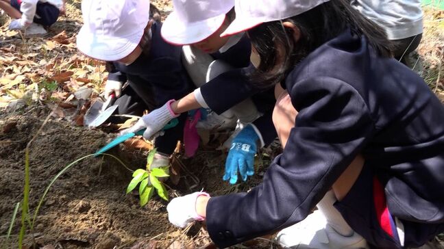 「豊島を誇りに」 かつて産業廃棄物の不法投棄事件が発生した香川県の豊島で小学生らが植樹活動【香川】|TBS NEWS DIG