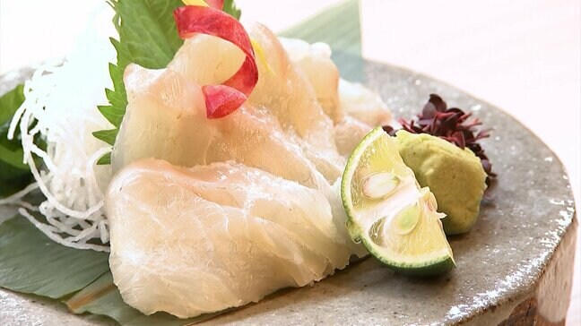 高級ブランド魚「おかやま理大タマカイ」 岡山理科大学の “好適環境水” を使って育てられた高級魚が香川の飲食店に【香川】|TBS NEWS DIG
