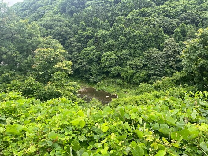 「クマにかまれた」30代男性2人けが　猛禽類の生息調査中　福島・下郷町|TBS NEWS DIG