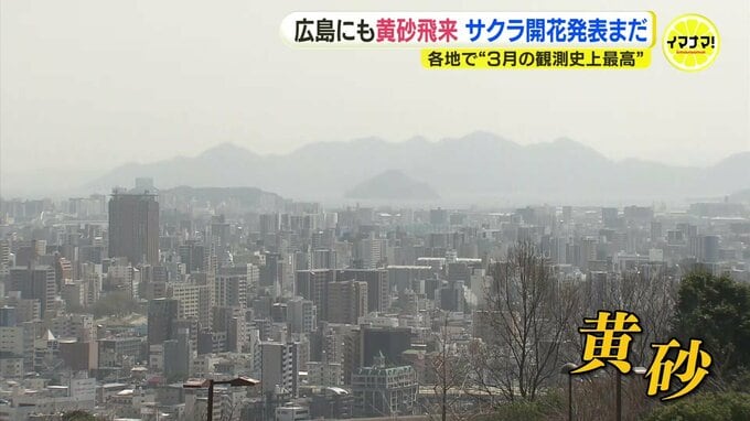 広島で早くも「夏日」観測　広島市中区“24.0℃”は3月観測史上最高　“黄砂”で街が霞む　サクラの開花発表まであと一歩　「あすに期待…」　広島|TBS NEWS DIG