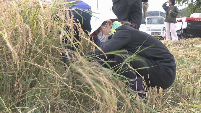 開校から１５０年の歴史に幕　閉校の小学校で最後の稲刈り　山口県光市|TBS NEWS DIG