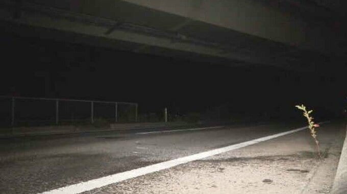 県道で軽貨物車と乗用車が正面衝突　軽貨物車の44歳男性死亡　宮城・亘理町|TBS NEWS DIG