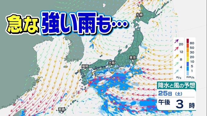 落雷、竜巻などの激しい突風、急な強い雨が…25日夜はじめから大気の状態不安定に 四国|TBS NEWS DIG
