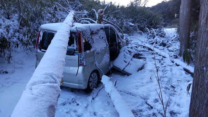 大雪ピーク超えるも交通影響続く　強風で死傷者も　昼前まで雪に注意　大分　　|　大分のニュース｜OBS NEWS｜大分放送
