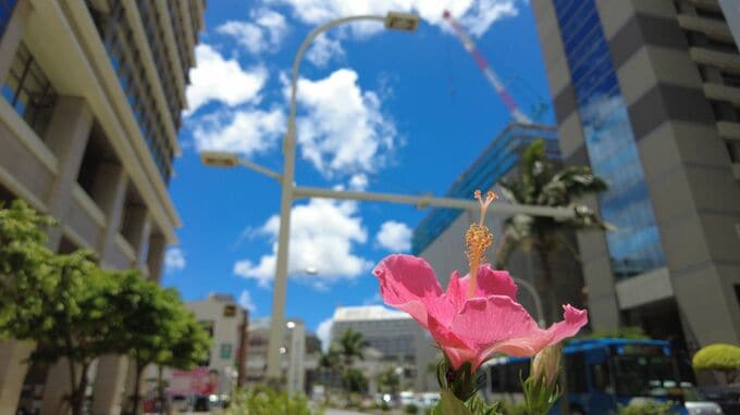 那覇市で史上最高気温　初の36℃台　1890年の観測開始以来　「35℃以上」が過去30年でわずか5回の那覇市で“異常値”|TBS NEWS DIG