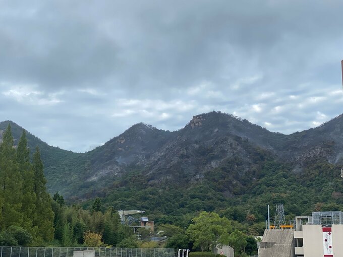 出火から15時間、消火活動続く…家屋の延焼・けが人の情報なし　山口市南部山林火災（19日午前7時半現在）|TBS NEWS DIG