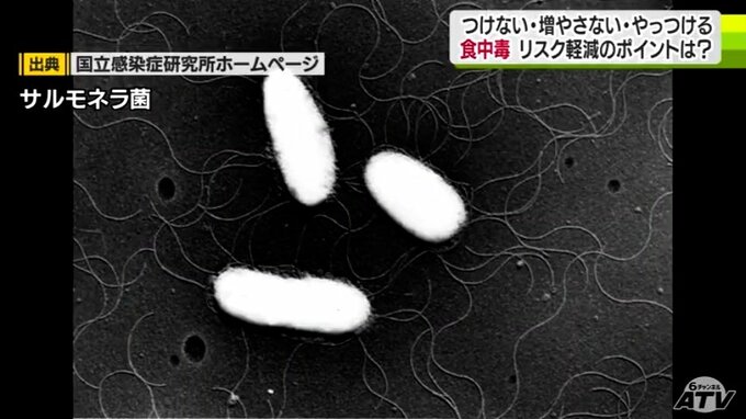 「つけない・増やさない・やっつける」食中毒予防の三原則　リスク軽減のポイントは？|TBS NEWS DIG