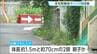 住宅密集地で親子とみられるクマ2頭目撃　付近にはこども園も　仙台・宮城野区　|　宮城のニュース│tbc NEWS│tbc東北放送