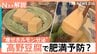 高野豆腐に肥満予防の可能性　新研究で“痩せホルモン”分泌も　ガパオやかりんとうなど煮物以外の活用術【Nスタ解説】|TBS NEWS DIG