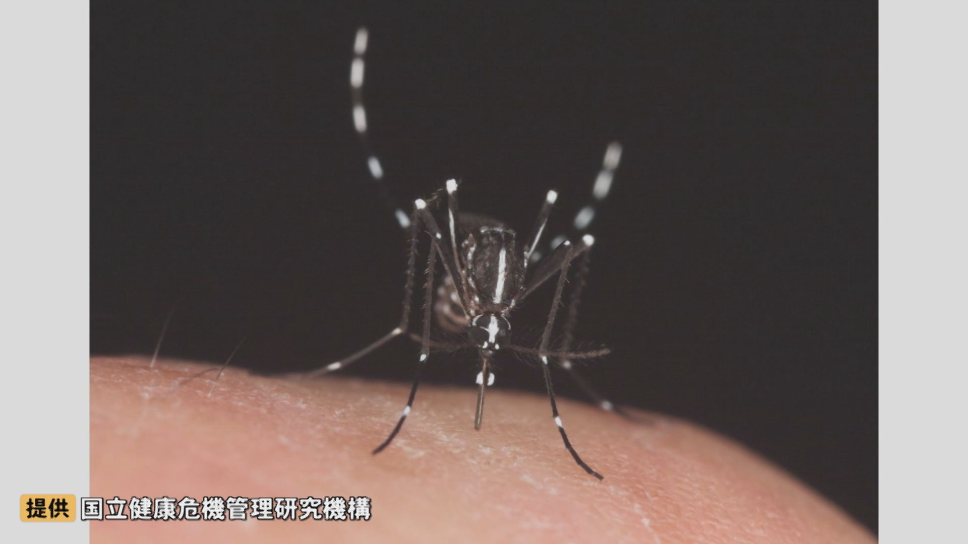 img_c436fb562794f1e2406cb4f0c2