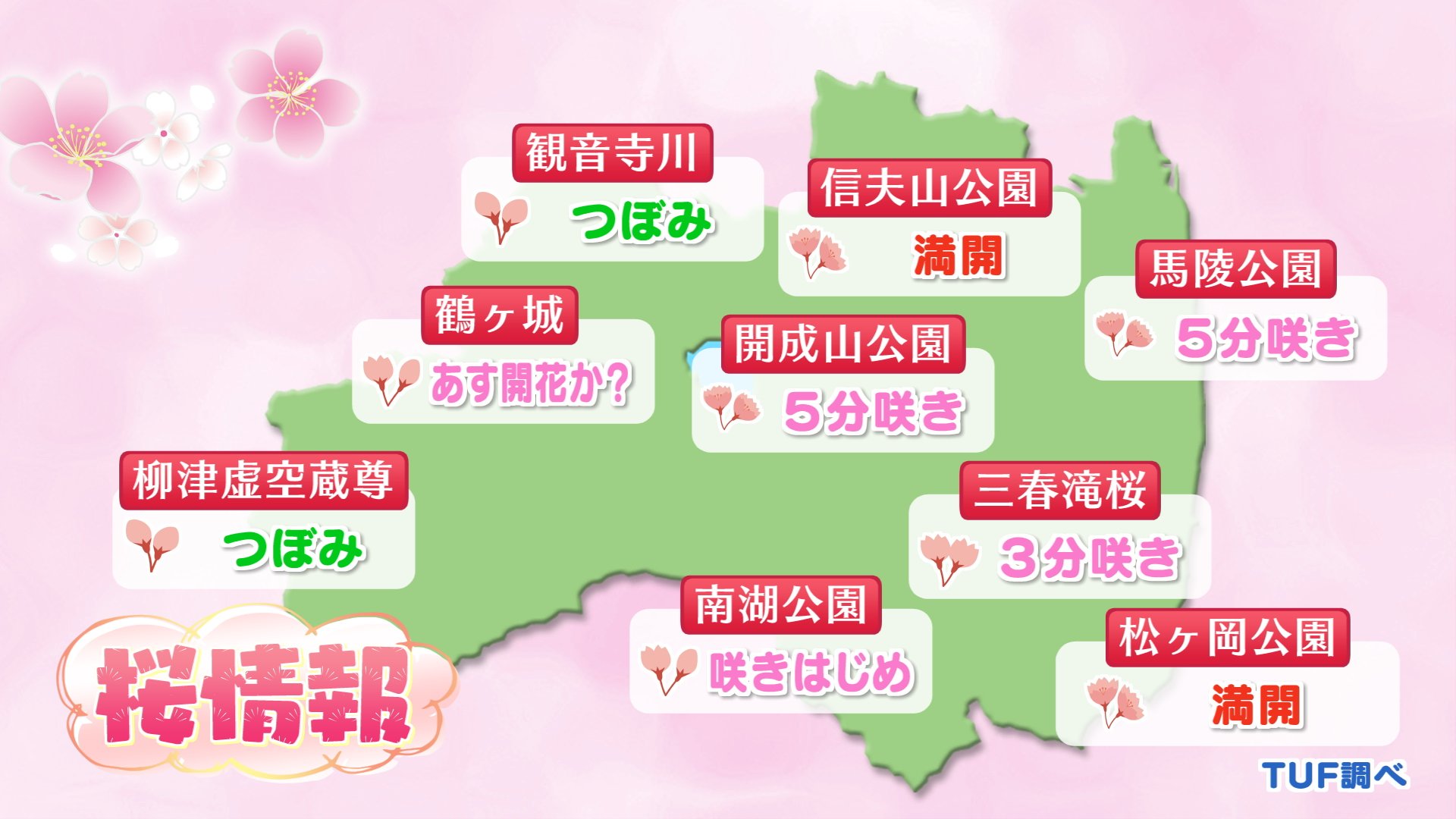 サクラ開花情報】花見山は最盛期、滝桜は3分咲き…福島県内の桜の状況は