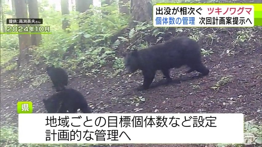 保護しながら管理していく難しさ」人里への出没相次ぐ『ツキノワグマ