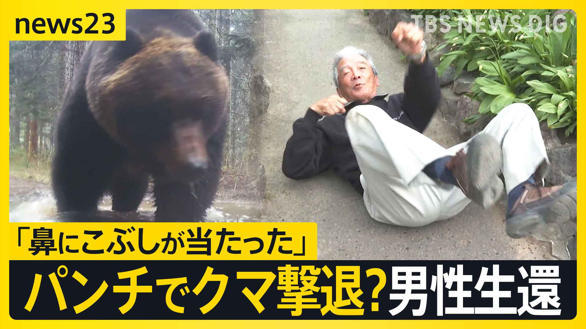 岩手・クマに襲われ男性（85）死亡か…相次ぐ被害 ヒグマをパンチで撃退