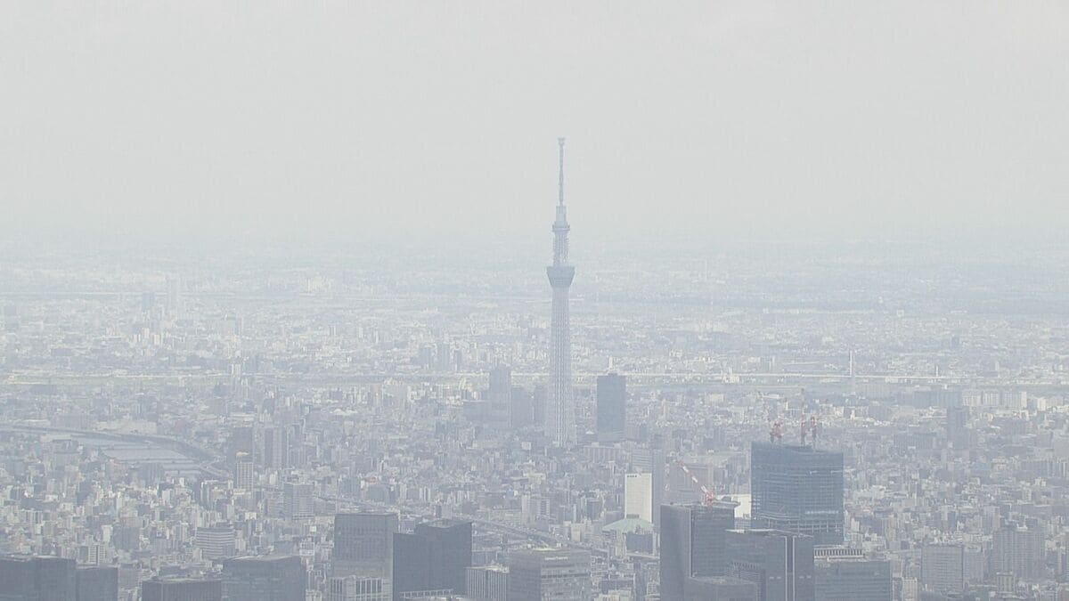 4月の全国の倒産件数　899件　前年同月比+8.8％　原材料価格上昇で「物価高倒産」は最多 | TBS NEWS DIG