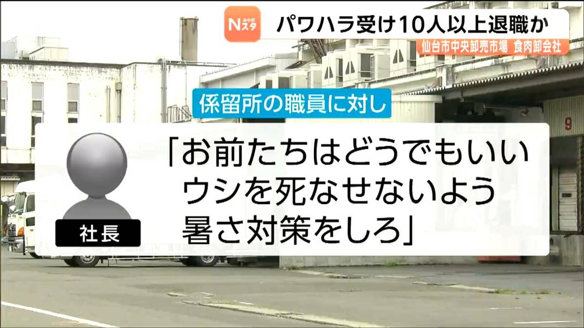 「お前たちはどうでもいい。ウシを死なせないよう暑さ対策をしろ」仙台市中央卸売市…