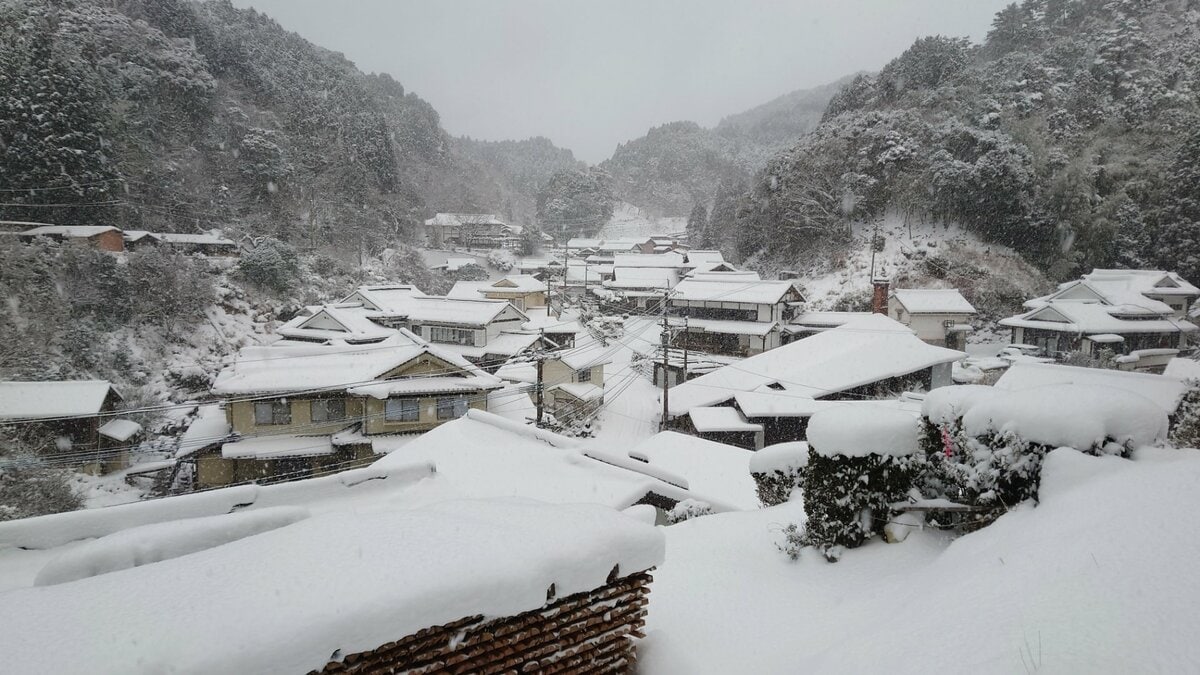 大分県でも積雪 交通機関に影響 寒波のピークすぎる | 大分のニュース