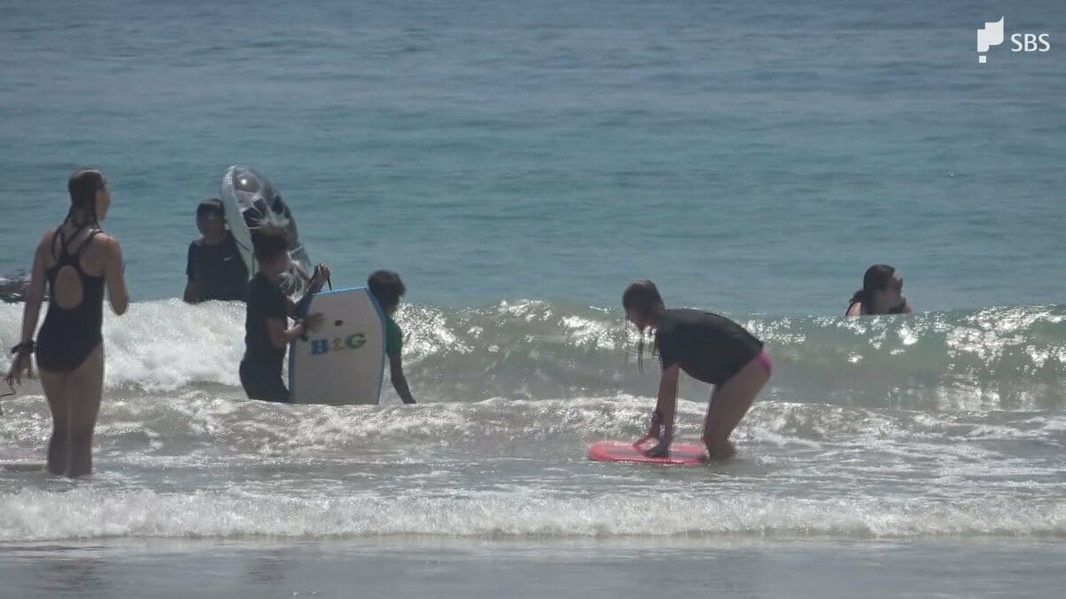 いよいよ夏本番！さがらサンビーチは海開き 各地で海水浴シーズンを