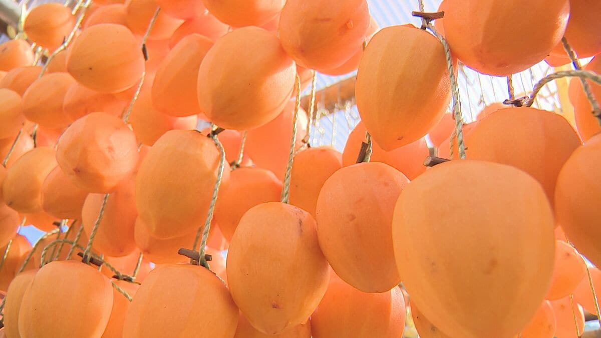 シャッていう歯切れのええ音が好き」冬の訪れ告げる「柿のれん