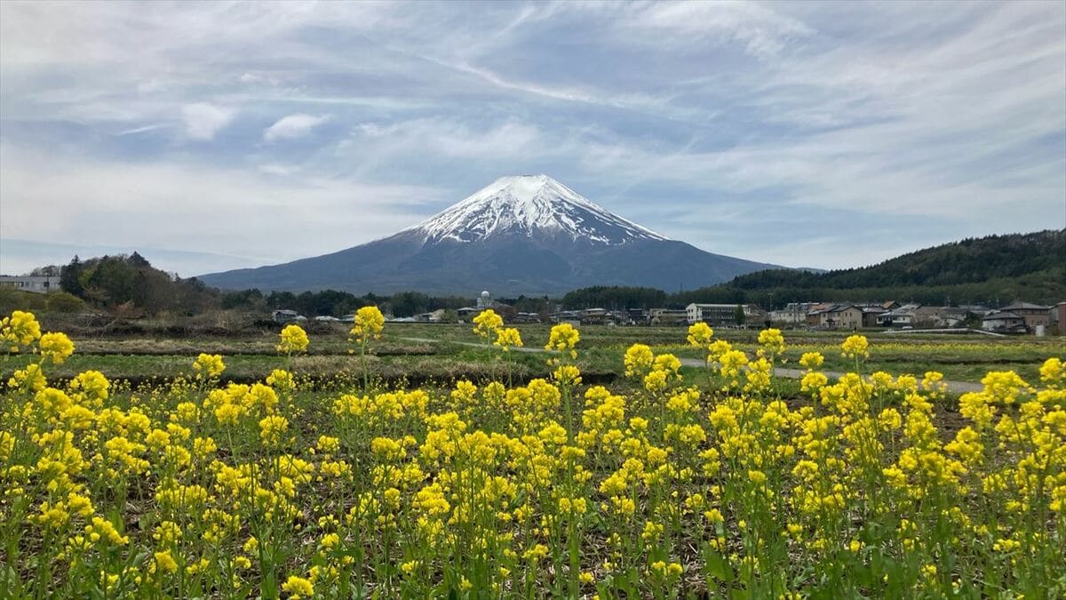 【速報】富士山に「農鳥」　例年より一足早く