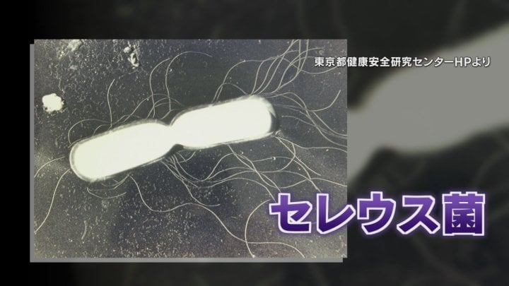 “チャーハン症候群”に注意　味やにおいに変化がない食中毒　加熱しても死滅しないセレウス菌の有効な予防法は　山梨