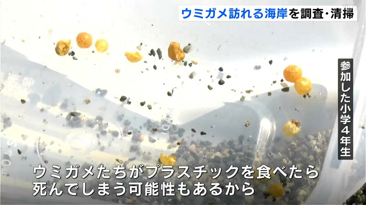 意外とすぐ見つかる「砂浜のマイクロプラスチック」ウミガメの産卵を守ろうと子どもたちが海岸を調査・清掃【高知】