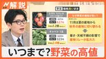 キャベツ1玉500円超も… いつまで続く?野菜の高値、一方でお得な野菜は?【Nスタ解説】|TBS NEWS DIG