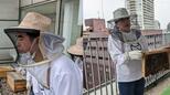 「生き物が相手だから責任感が芽生える」精神障害者が手掛ける養蜂|TBS NEWS DIG