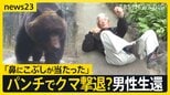 岩手・クマに襲われ男性（85）死亡か…相次ぐ被害 ヒグマをパンチで撃退？恐怖の攻防劇　“梅雨”に向け必要な注意も【news23】|TBS NEWS DIG