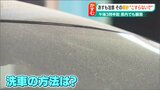 タップリの泡でこすらずに…「洗車と洗顔は一緒!!」黄砂まみれの車を洗う『極意』|TBS NEWS DIG