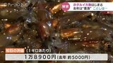 ホタルイカ漁解禁も…網にはイワシ 解禁初日の水揚げはわずか18キロ 県水産研究所は漁獲量「平年並み」予想 富山 | 富山のニュース|天気・防災|チューリップテレビ