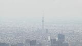 4月の全国の倒産件数　899件　前年同月比+8.8％　原材料価格上昇で「物価高倒産」は最多|TBS NEWS DIG