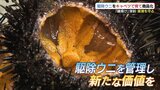 捨てられるウニ×捨てられるキャベツ=“無限”の可能性!「無から有」を生み出す元研究者の海士の挑戦 | 山口のニュース・天気・防災|tys NEWS|tysテレビ山口