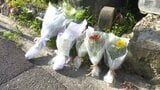 【松山城土砂崩れ2年】一家3人死亡の現場で追悼 復旧完了も「まだ何も終わっていない」再検証求める住民との深い溝・愛媛　|　愛媛のニュース - Nスタえひめ｜あいテレビは6チャンネル