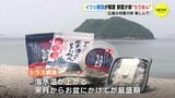 イワシ網漁が解禁 鮮度が命 “ちりめん” 「広島の初夏の味 楽しんで」|TBS NEWS DIG