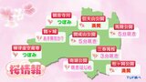 【サクラ開花情報】花見山は最盛期、滝桜は3分咲き…福島県内の桜の状況は?【8日午後2時現在・TUF調べ】 | 福島のニュース│TUF