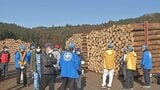 県内有数の木材産地で初競り 大分・日田市 | 大分のニュース|OBS NEWS|大分放送