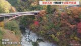 岐阜の付知峡で紅葉見頃 冷え込みで一気に色づく 「飛騨美濃紅葉33選」にも選ばれる | 名古屋・愛知・岐阜・三重のニュース【CBC news】 | CBC web