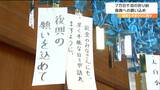 「鶴を見て元気になってほしい」小中学生が能登半島地震からの復興の願い込めた折り鶴の仕上げ作業 仙台七夕まつり展示に向けて 仙台|TBS NEWS DIG
