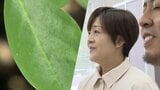 CO2吸収量が多く、豊富な栄養素のスーパーフード「モリンガ」 魅力広めるテーマソング♪が完成…その名も「しあわせのモリンガ」歌詞に込められた思いとは「永遠に歌い続けられるような歌に」 | 岡山・香川のニュース | 天気 | RSK山陽放送