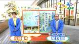 サクラの開花はいつ?日射しあっても空気冷たい 宮城4日の天気 tbc気象台 | 宮城のニュース│tbc NEWS│tbc東北放送