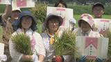 まだお盆前なのに…超早場米を収穫 東北で最も早く | 福島のニュース│TUF